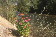 IMG-20180328-WA0042
